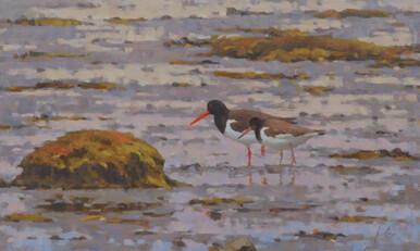 066 - Lesson on the flats