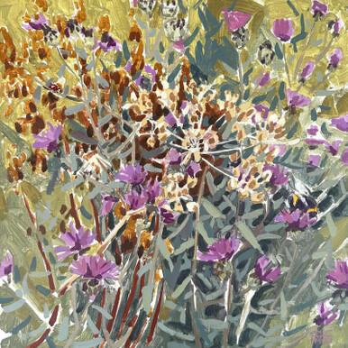 129 - Knapweed muddle