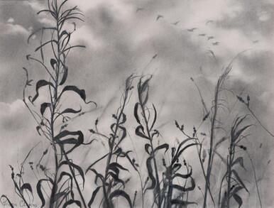 060 - Wild Geese, Solway