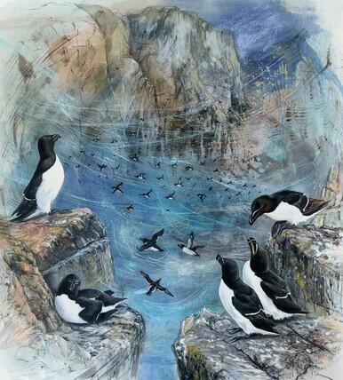 196 - A blizzard of Razorbills, Barra Head