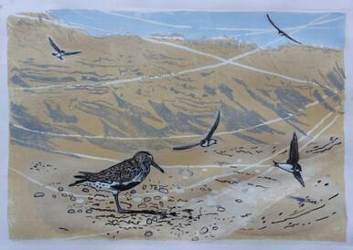 200 - Sand Martins with passing Dunlin (i)