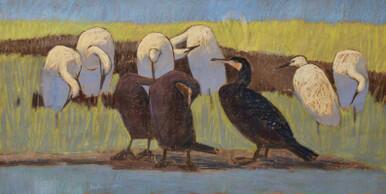 288 - Little Egrets and Cormorants high tide