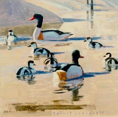 121 - Shelduck family