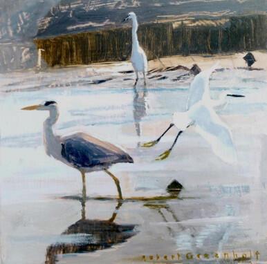 118 - Heron and Egrets