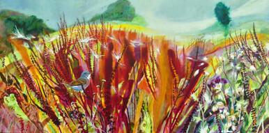 096 - Whitethroat, thistledown and Docks