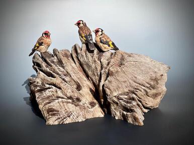 123 - The charm of the Goldfinch