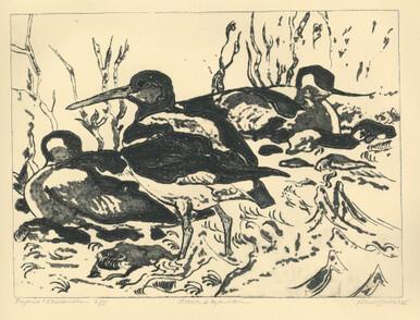 049 - Avocets and Oystercatcher