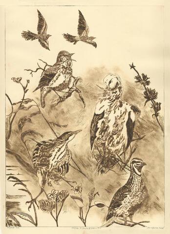 051 - Homage to Blicher and Larsen VI