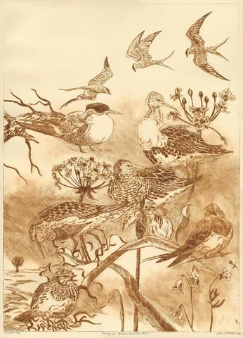 050 - Homage to Blicher and Larsen IV