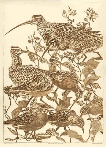 056 - Wadden Sea World Heritage II