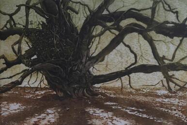 255 - The Witches' Broom Tree II