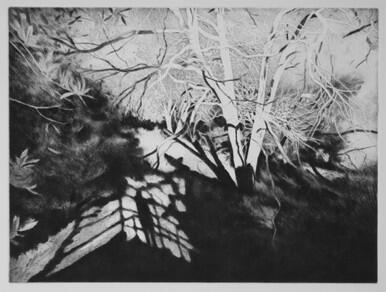 100 - Morning Shadows