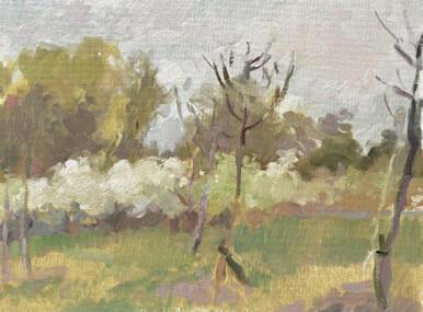 136 - Wisley Gardens Orchard, Early Spring