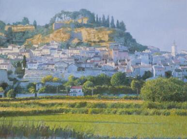 295 - Spring in the Luberon