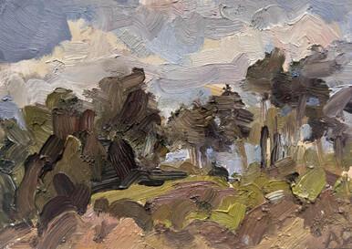 069 - Trees on a Sandy Bank