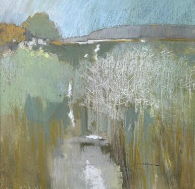 326 - Reed Bed, Falmouth Estuary