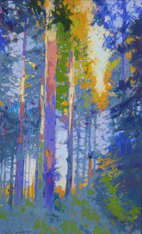 157 - Sunlight through Pines