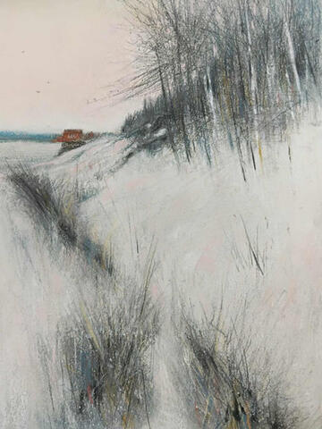 355 - Snowfall along the Strand