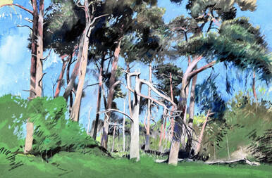 232 - Broken Trees, Euston, Suffolk