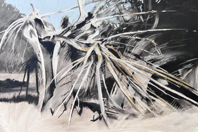 233 - Willow Trees on the Stour between Dedham and Flatford