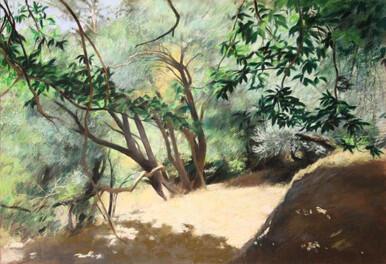 100 - Summer Light 1