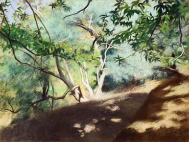 101 - Summer Light 2