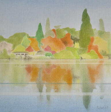 353 - Sheffield Park Gardens