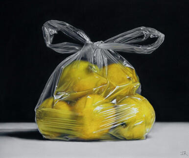 282 - Lemons In Bag