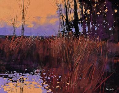 008 - Evening Light at Templemill