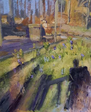 180 - Spring Shadows