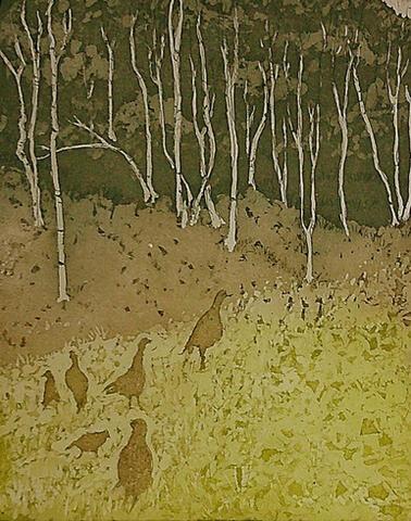 174 - Partridges at Cerne