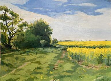 289 - Edge of the Rape Field, Hainton