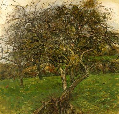 060 - Fallen Apple Tree