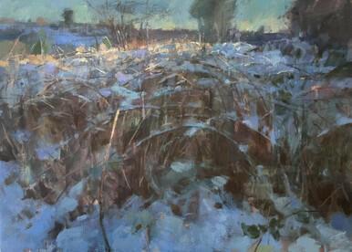216 - Dappled Light on Snow and Undergrowth