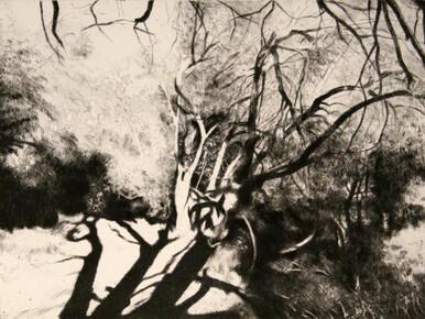 082 - Shadow of the Chestnut