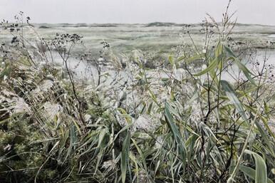 420 - Chords of Summer