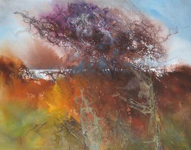 067 - Shining Sea and Tangled Hawthorn