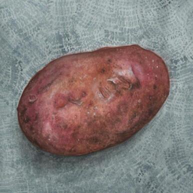 449 - Red Potato