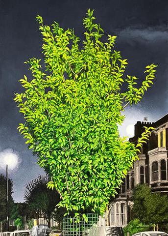 309 - Youthful Foliage