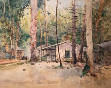 007 - Virginia Creeper