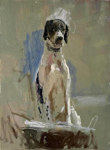 312 - Bella