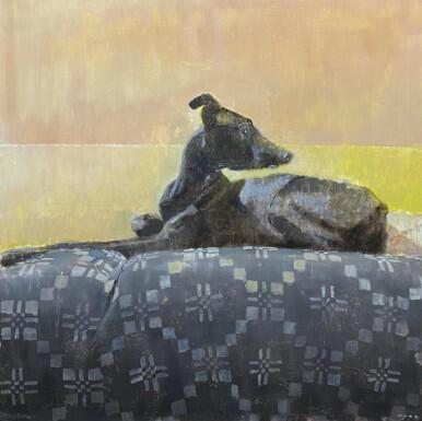 345 - Study in Black, Yellow and Greyhound