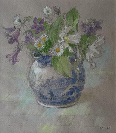 138 - Campanulas Plus