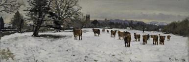 039 - Cows and Snow, Enville, Staffordshire, January 2026