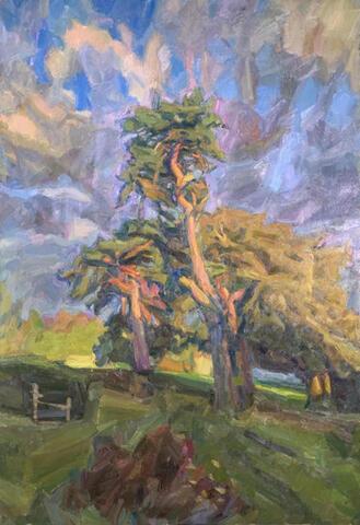 180 - The Three Trees, Sunset