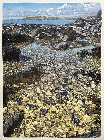 210 - Seashell Shore