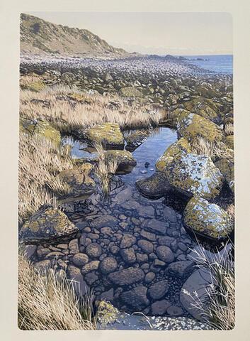 207 - Rockpool Rushes