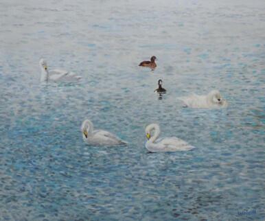 221 - Whoopers in June