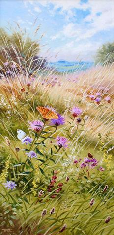 307 - July butterflies