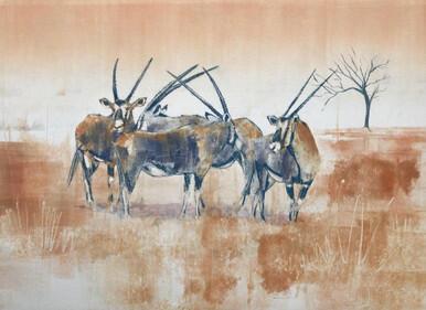 147 - Desert unicorns